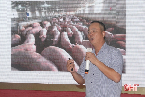Chăn nuôi an toàn sinh học là giải pháp căn cơ phòng chống Dịch tả lợn châu Phi