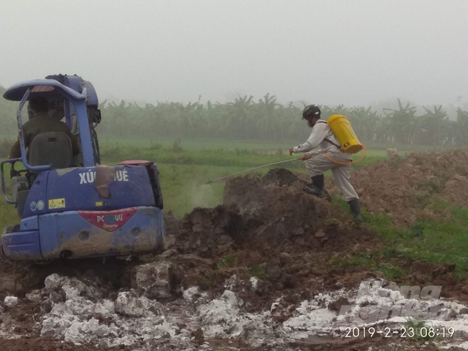 Thái Bình xuất hiện dịch tả lợn châu Phi với triệu chứng khác lạ