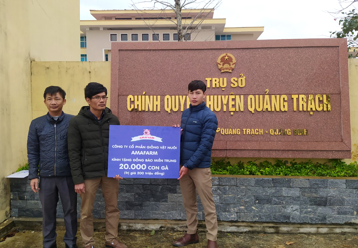 Amavet ủng hộ các tỉnh miền Trung 20.000 gà giống và 70.000 liều vacxin
