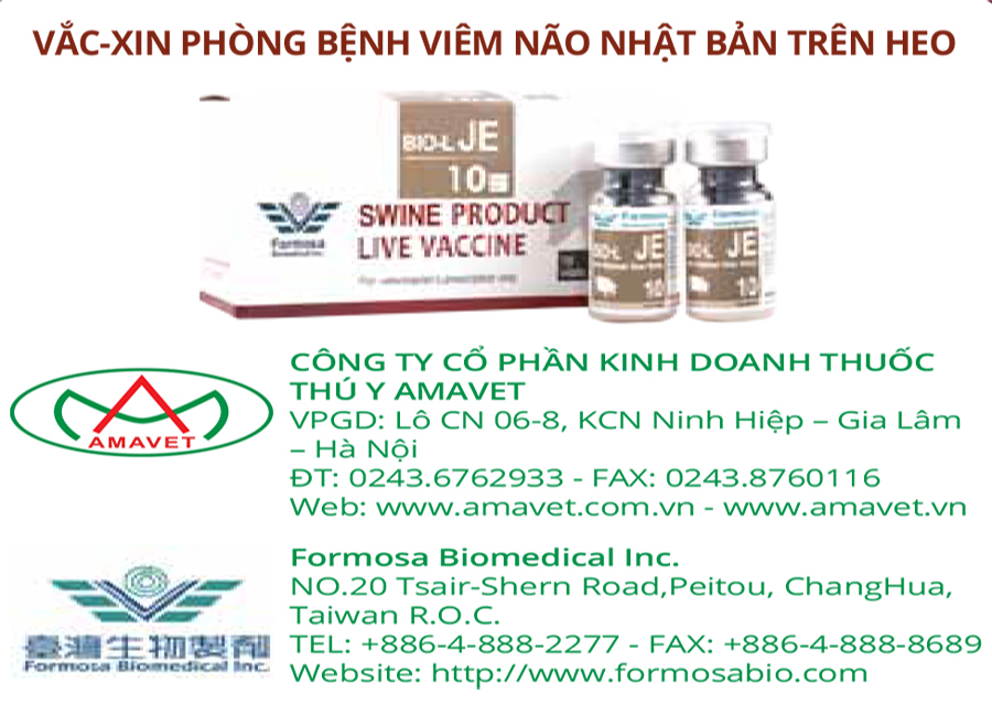 Viêm não Nhật Bản - Bệnh truyền nhiễm nguy hiểm trên người và động vật