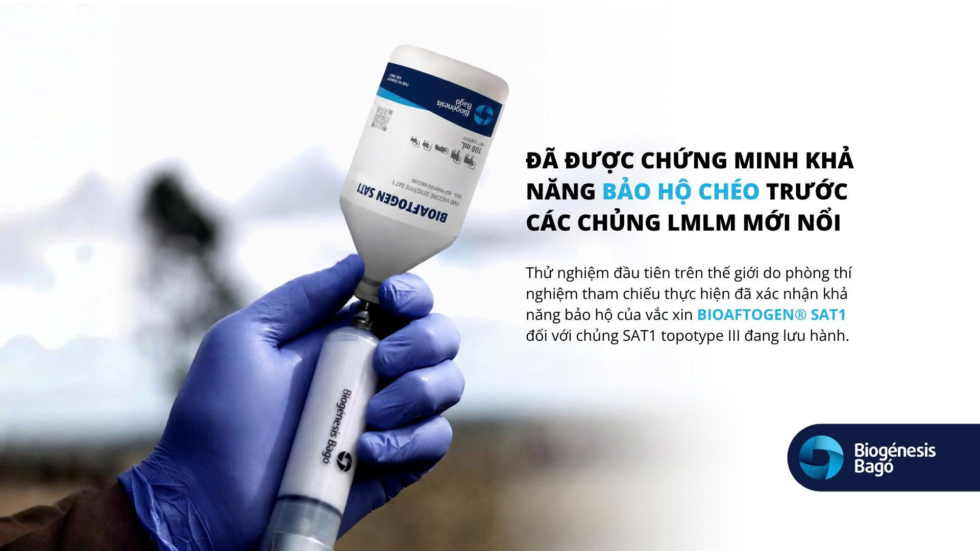 Nghiên cứu xác nhận vaccine Argentina đạt 100% hiệu quả bảo hộ virus FMD chủng SAT-1