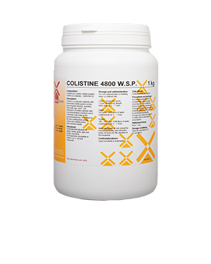 COLISTINE 4.800 W.S.P.