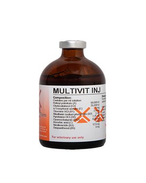 MULTIVIT INJ