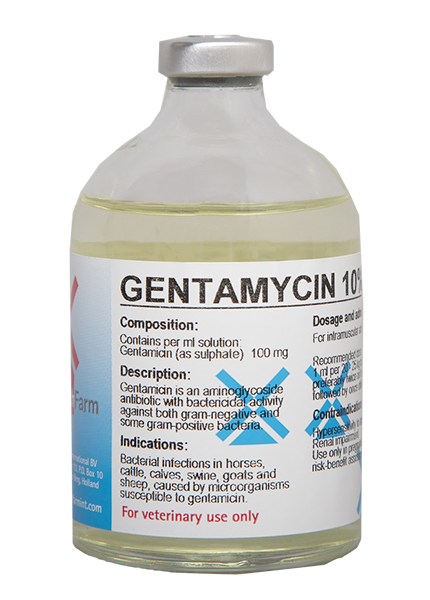 GENTAMYCINE 10% INJ